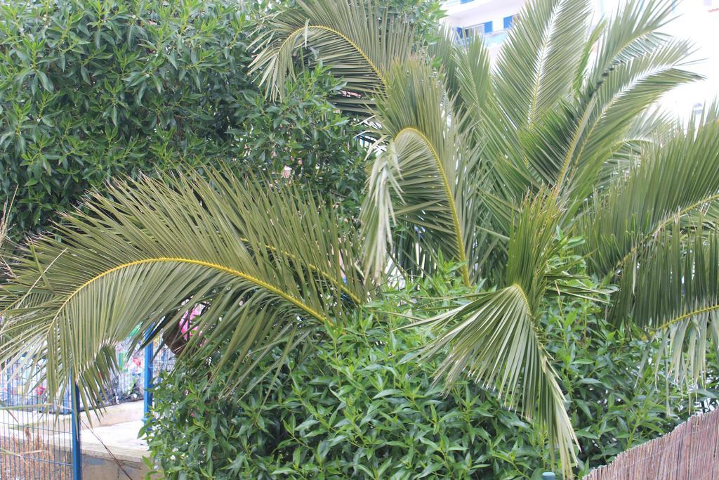Chill Hill & Private - Peach Garden Hostal *